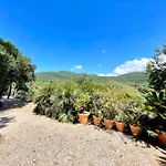 Lejlighed Il Poggetto Piano Terra, 4 Camere, Vista Mozzafiato, A 200 M Dal Mare! By Alfareal Castiglione della Pescaia