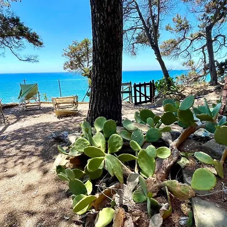 Il Poggetto Piano Terra, 4 Camere, Vista Mozzafiato, A 200 M Dal Mare! By Alfareal